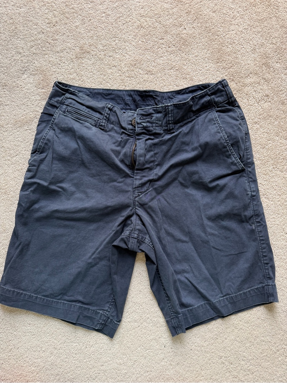 American Eagle Outfitters Dark Navy Flat-Front Men's Shorts size 31